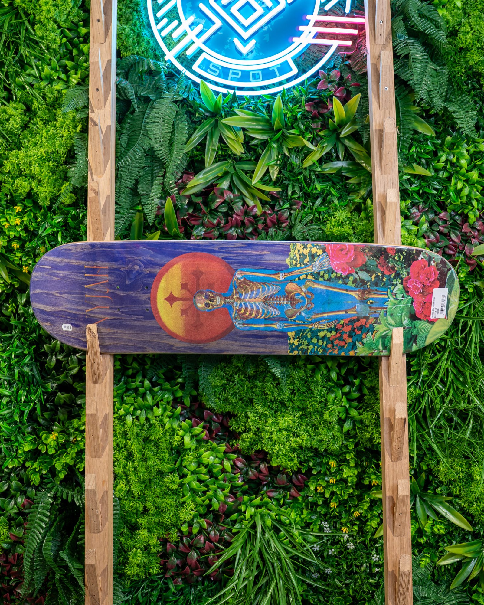 DISORDER DECK GARDEN NYJAH MULTI 8.38 X 32