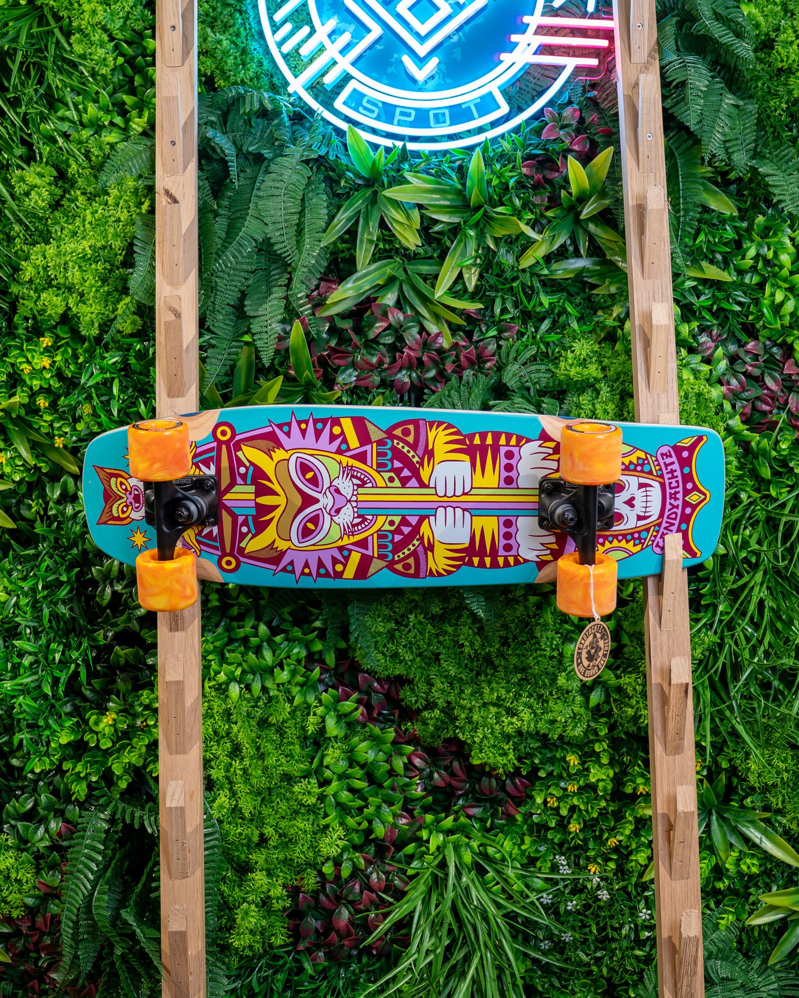 Dinghy Cruiser Skate Complet